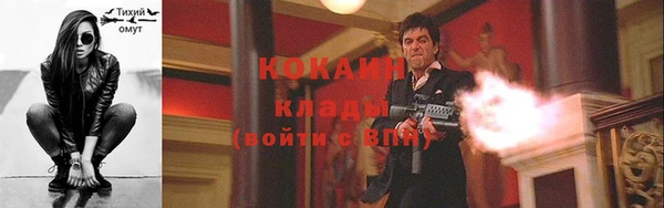 тгк Липки