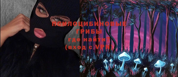 тгк Липки